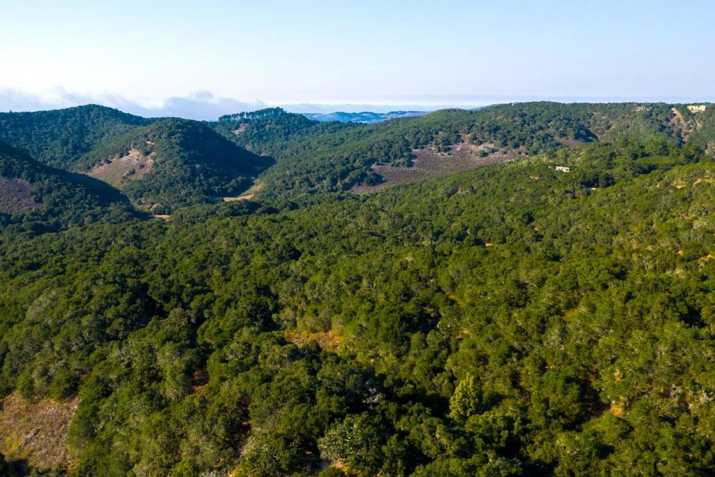 2 Corral Run Property Photo 5