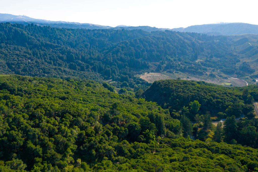 2 Corral Run Property Photo 6