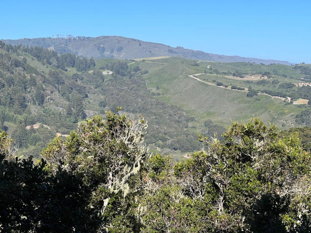 2 Corral Run Property Photo 9