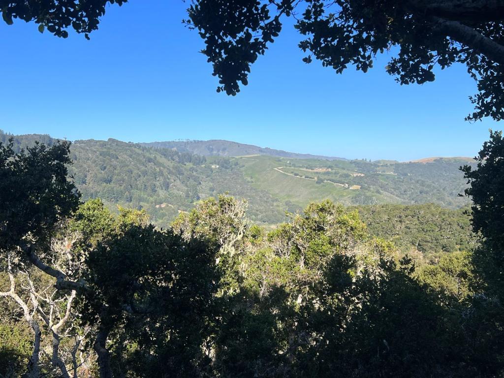 2 Corral Run Property Photo 10