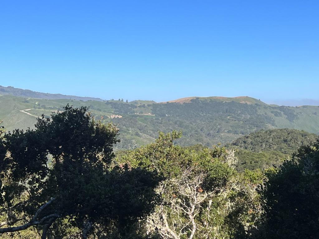 2 Corral Run Property Photo 11