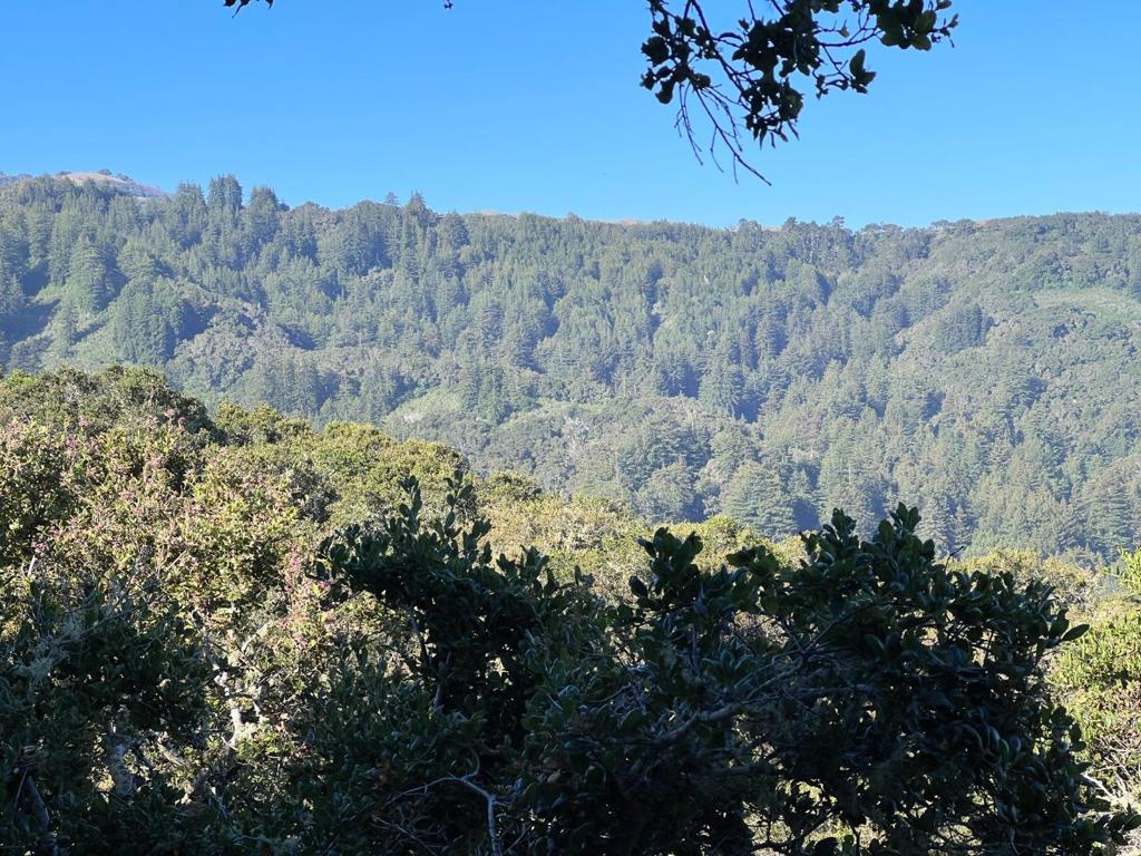 2 Corral Run Property Photo 14