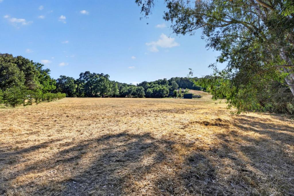 1195 Partrick Road Property Photo 91
