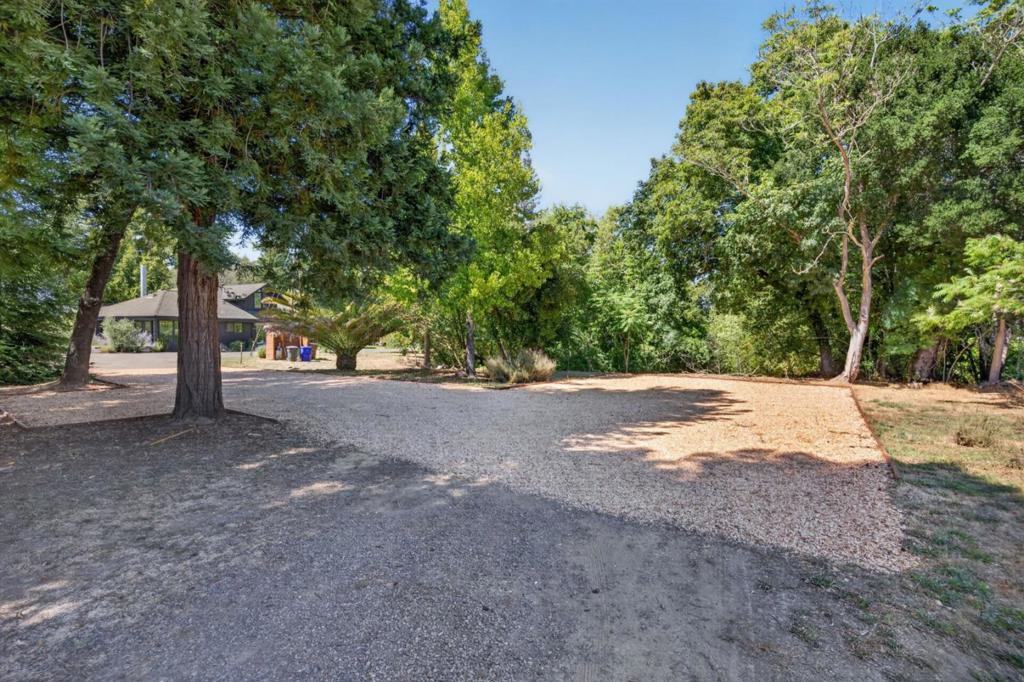 1195 Partrick Road Property Photo 101