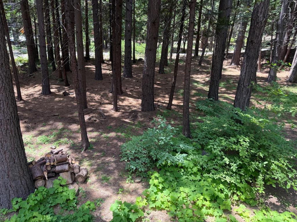2624 Indian Rock Road Property Photo 8