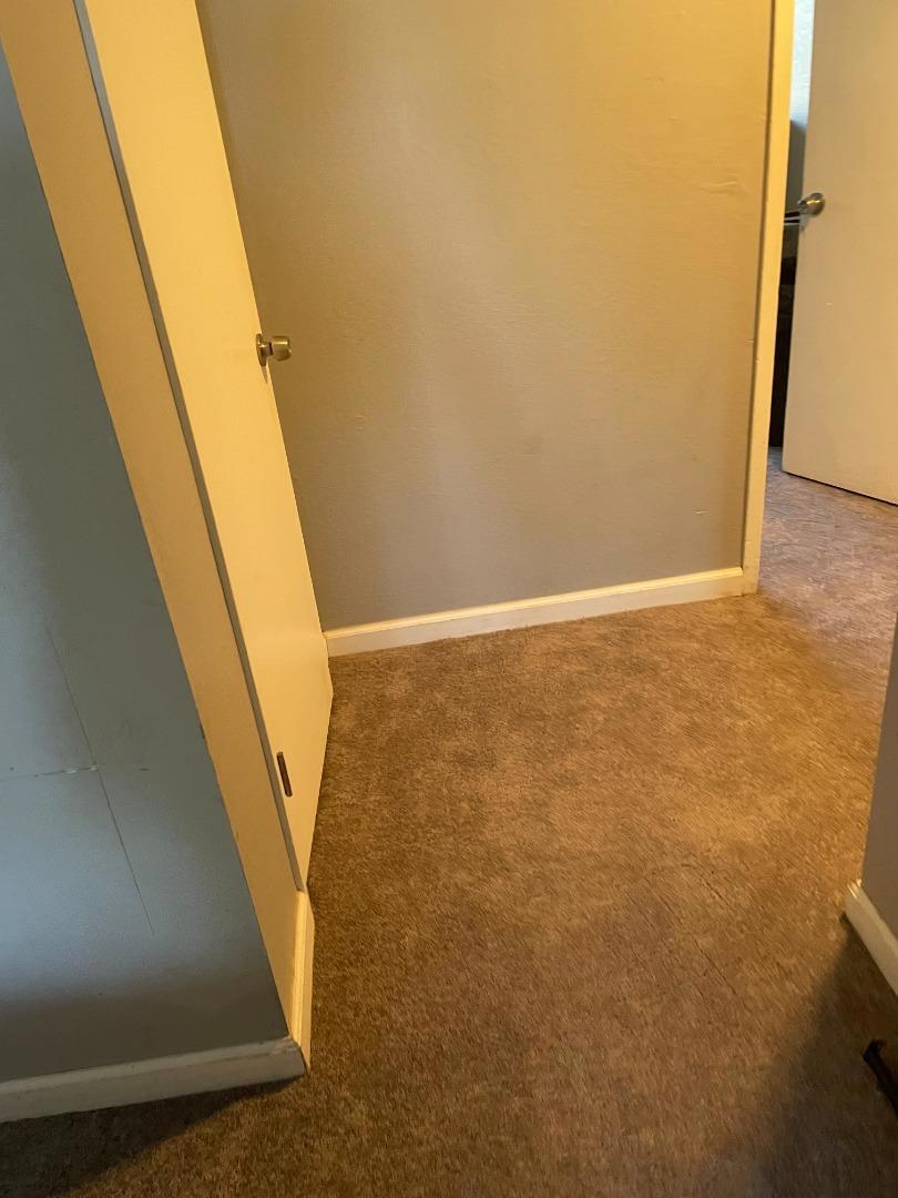 2916 Curtis Avenue Property Photo 28
