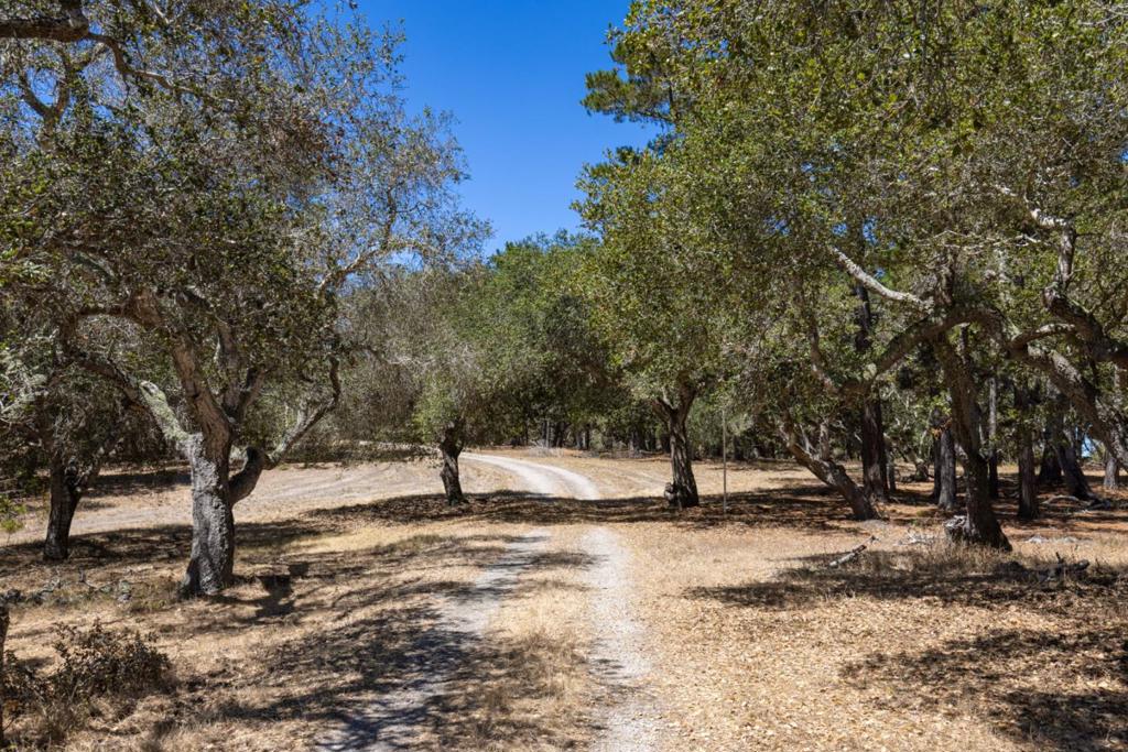 25600 Via Malpaso Property Photo 6