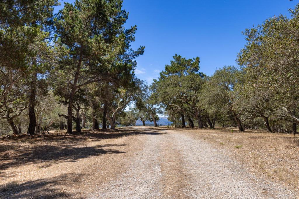 25600 Via Malpaso Property Photo 7