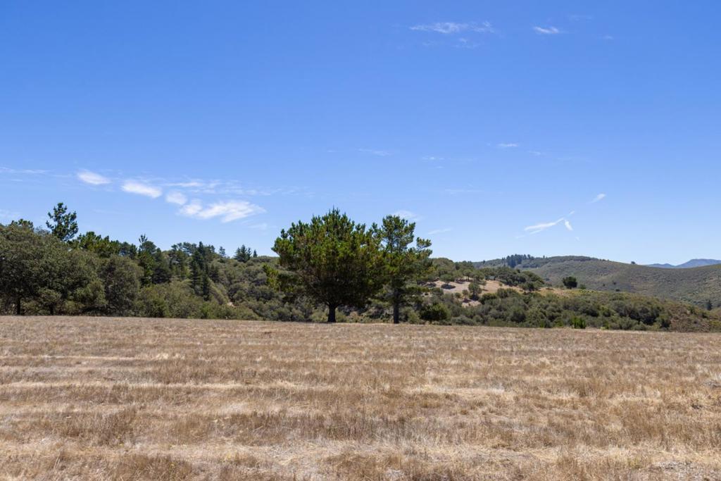 25600 Via Malpaso Property Photo 11