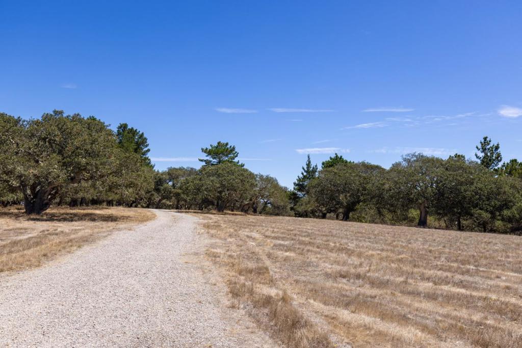 25600 Via Malpaso Property Photo 12