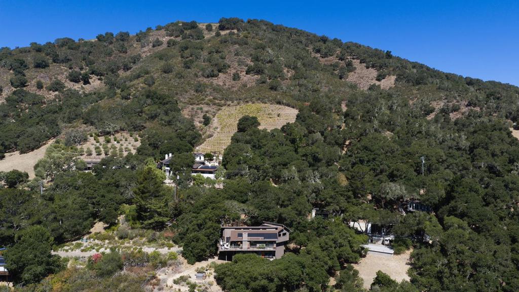 299 Calle De Los Agrinemsors Property Photo 26