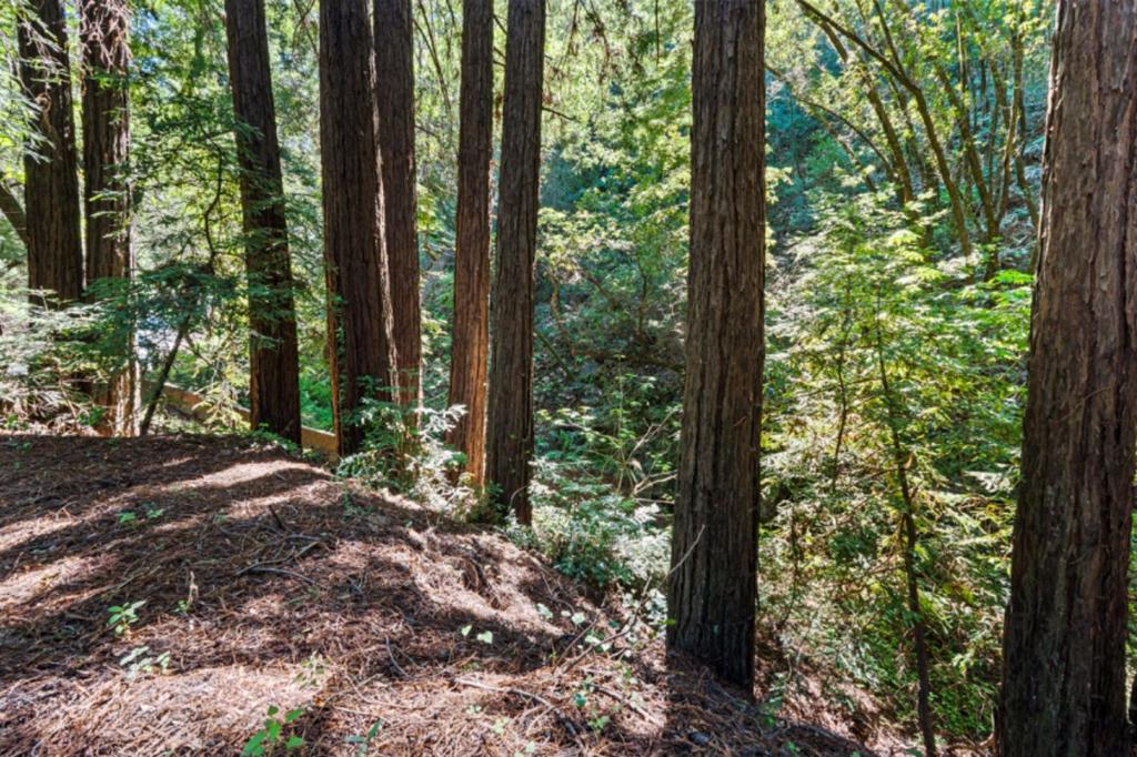 0 Sycamore Cyn Road Property Photo 3