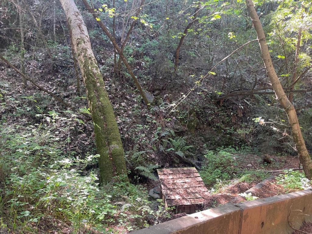 0 Sycamore Cyn Road Property Photo 6