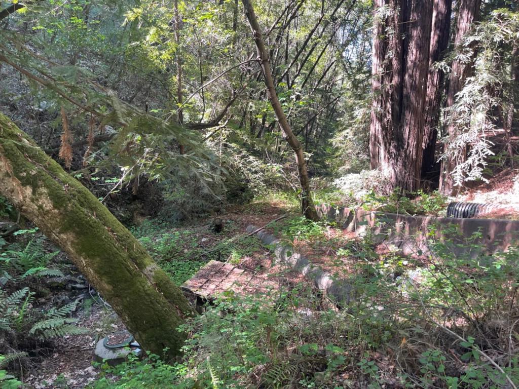 0 Sycamore Cyn Road Property Photo 7