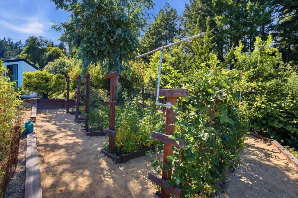 17575 Mountain Charlie Road Property Photo 38