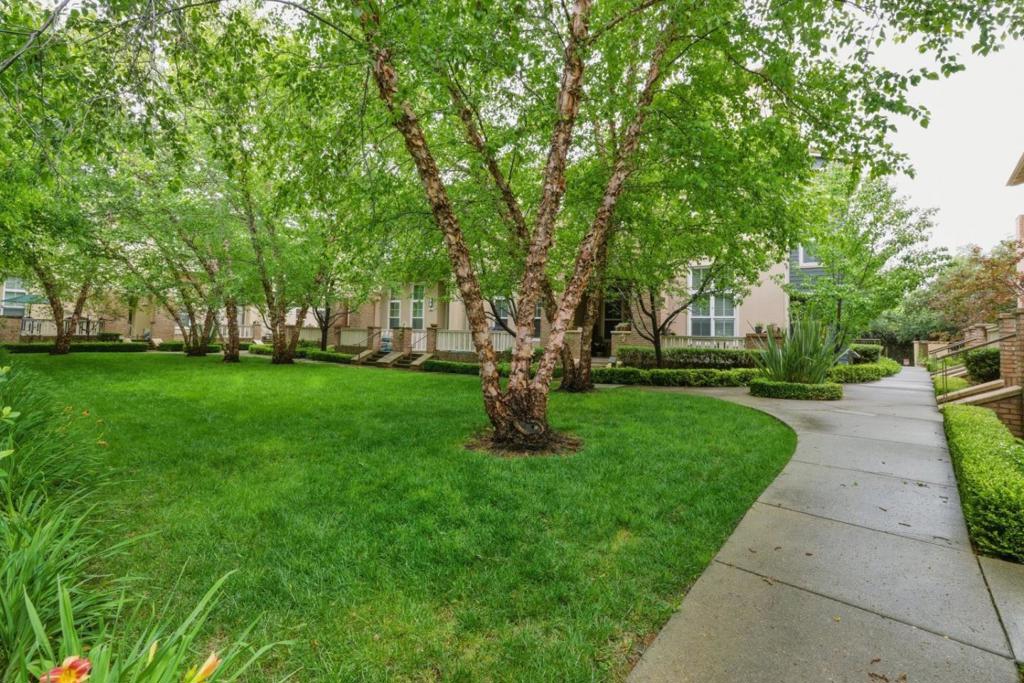 38 Silk Oak Terrace Property Photo 37