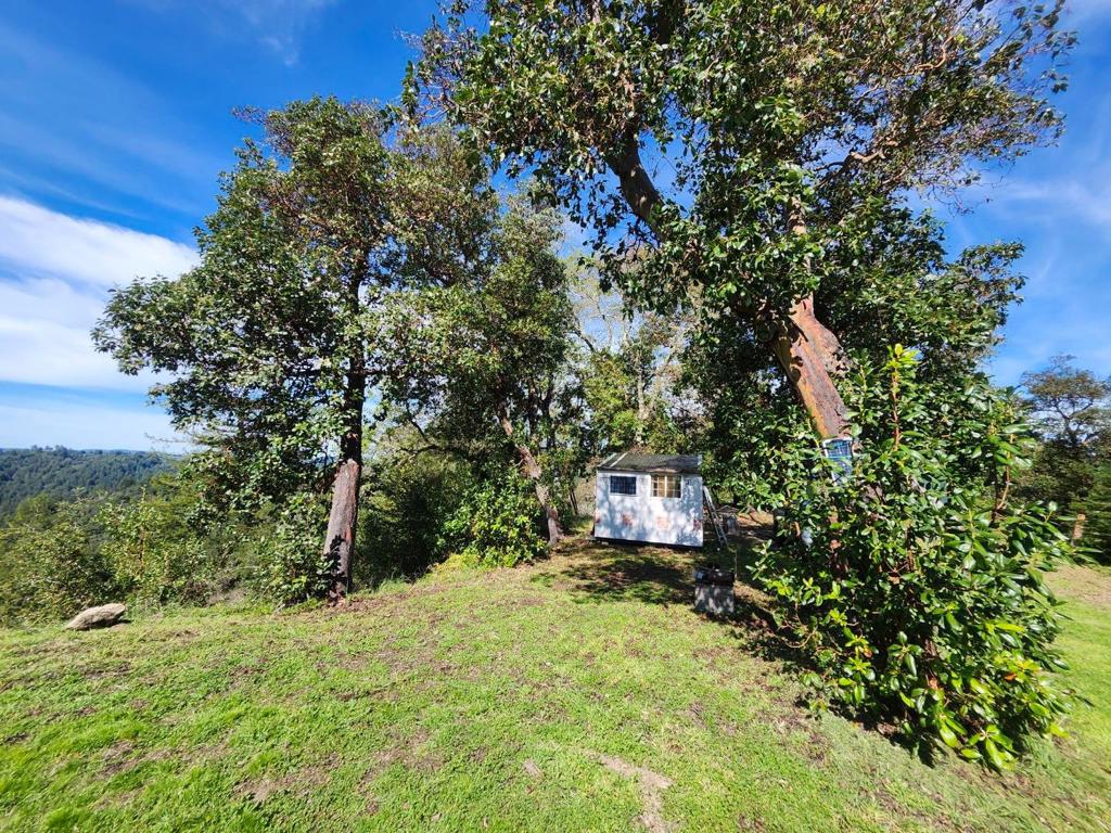 0 White Rock Property Photo 6