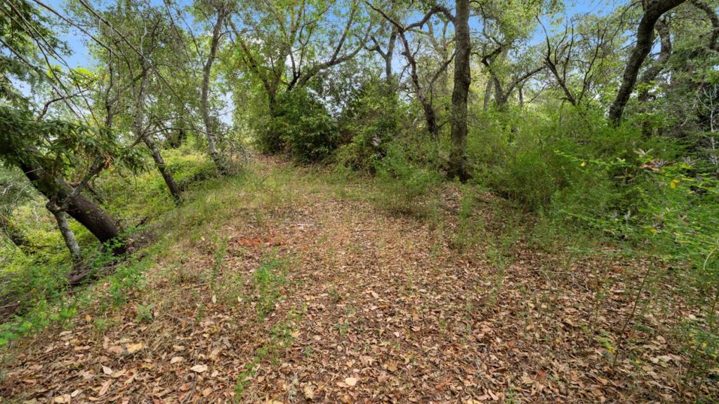 0 White Rock Property Photo 8