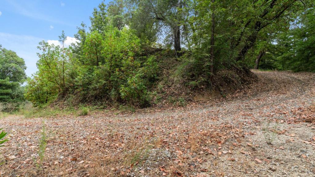 0 White Rock Property Photo 11