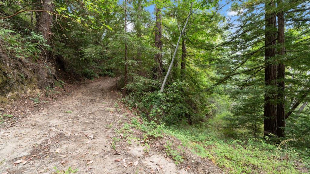 0 White Rock Property Photo 13