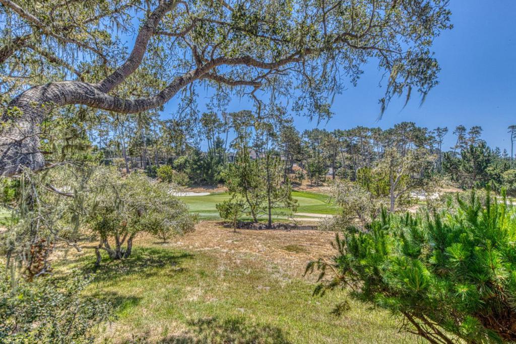 1052 San Carlos Road Property Photo 25