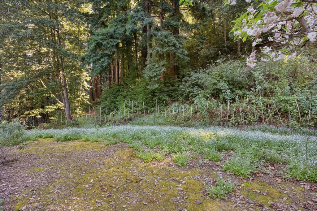 188 Martinez Road Property Photo 23