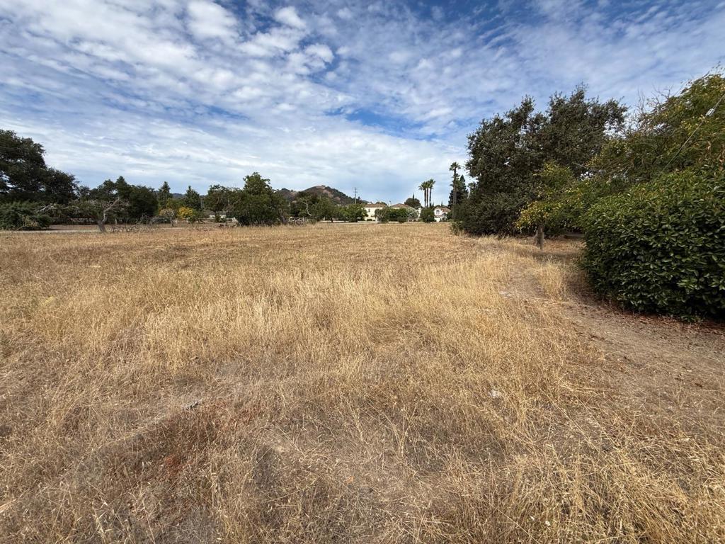 15195 Olive Avenue Property Photo 5