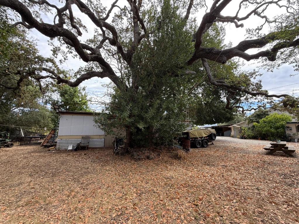 15195 Olive Avenue Property Photo 15