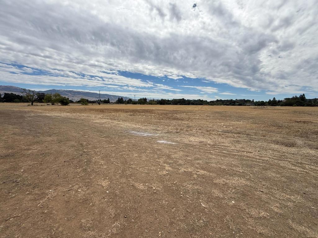15195 Olive Avenue Property Photo 18