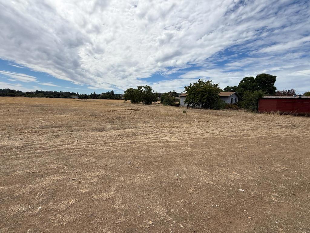 15195 Olive Avenue Property Photo 19