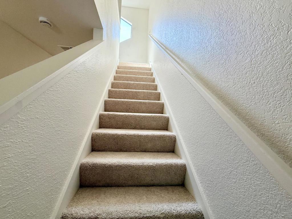 3101 Peppermill Circle Property Photo 11