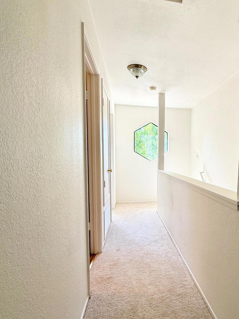 3101 Peppermill Circle Property Photo 19