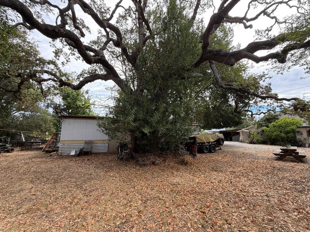 15195 Olive Avenue Property Photo 15
