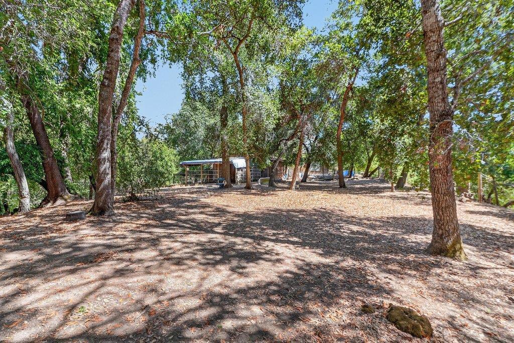 ML82055416 Property Photo 18