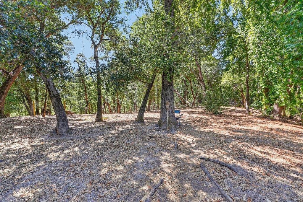 ML82055416 Property Photo 39