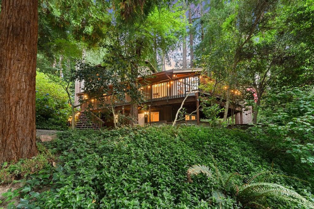 15551 Forest Hill Drive Property Photo 3