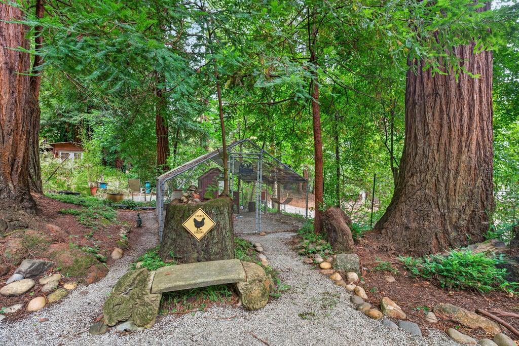 15551 Forest Hill Drive Property Photo 81