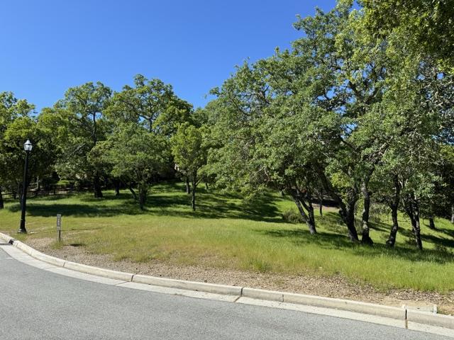 8341 Winter Green Court Property Photo 17
