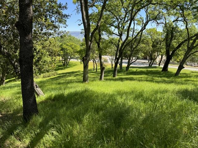 8341 Winter Green Court Property Photo 19