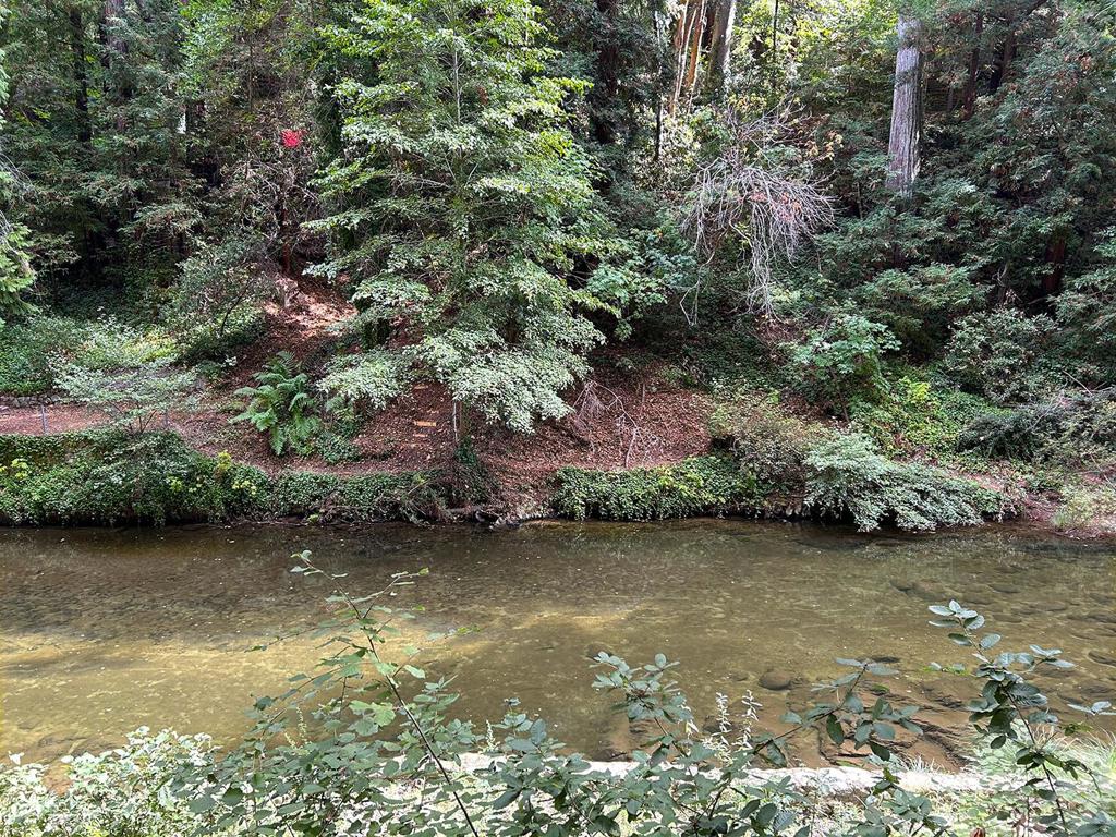 11085 Riverside Road Property Photo 1