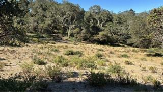 ML82055742 Property Photo 5