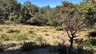 ML82055742 Property Photo 10