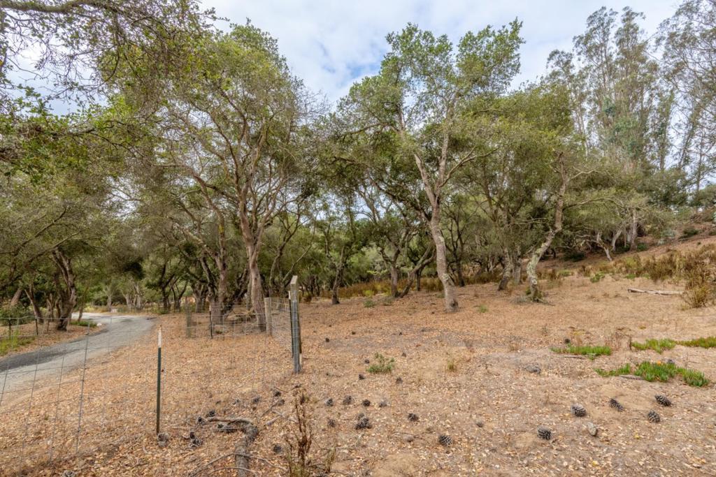 ML82055742 Property Photo 12
