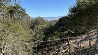 ML82055742 Property Photo 14