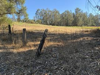 ML82055742 Property Photo 16