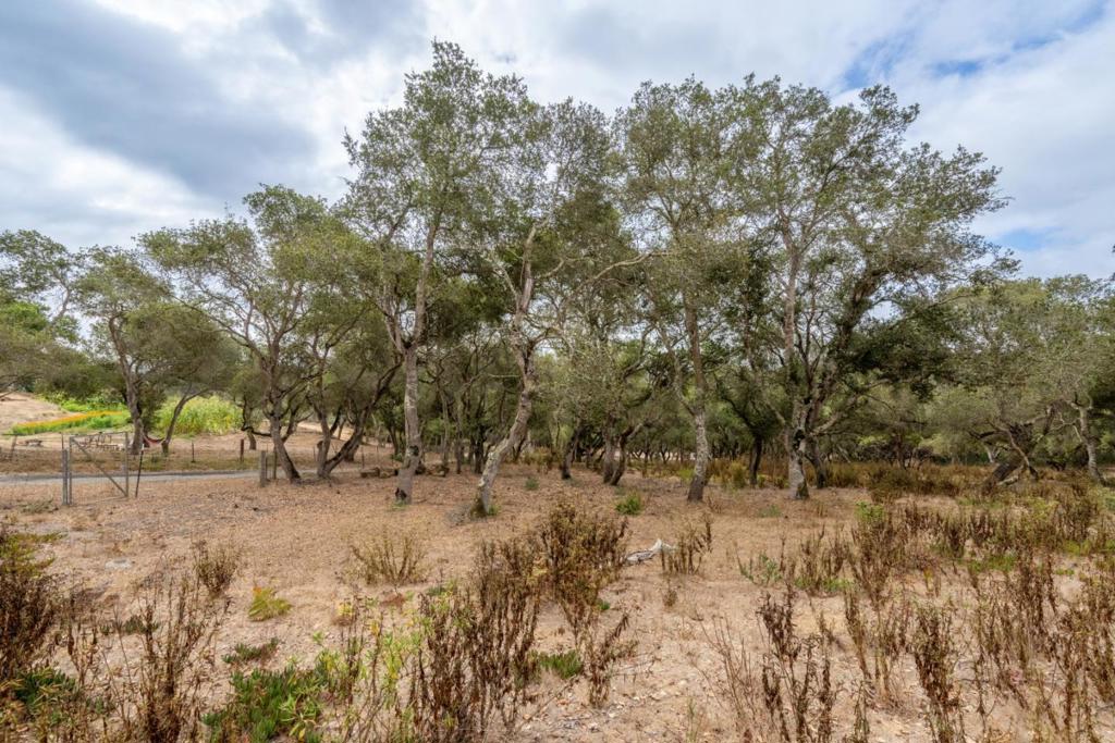 ML82055742 Property Photo 20