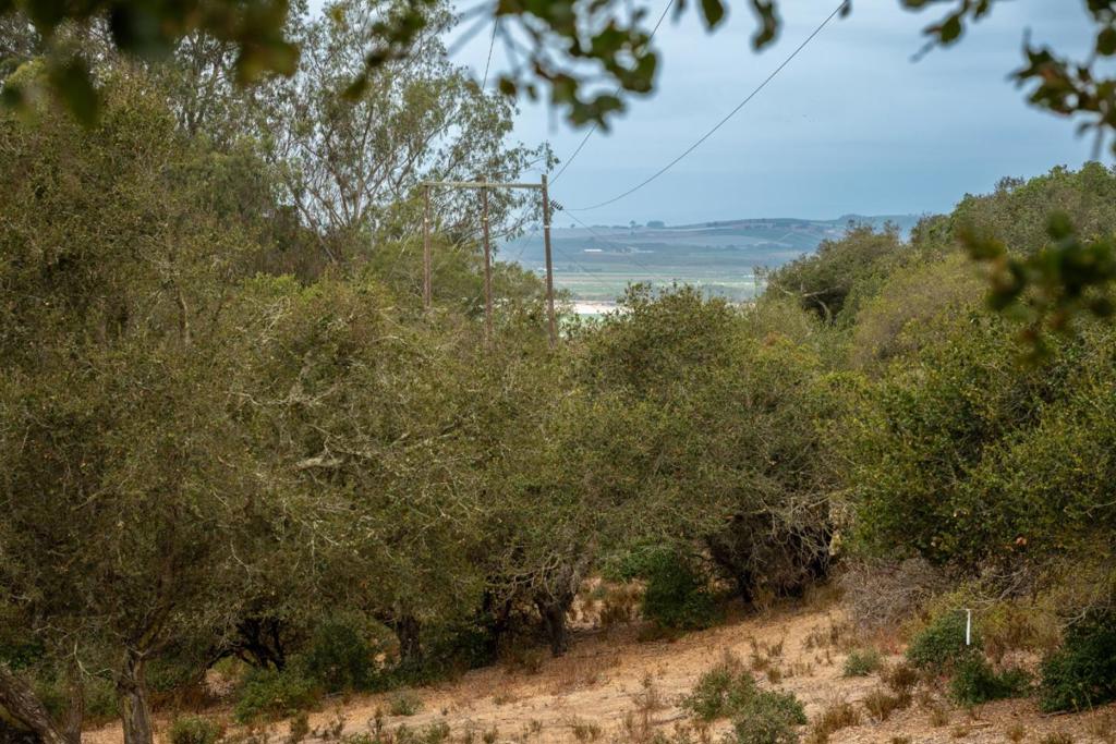 ML82055742 Property Photo 22