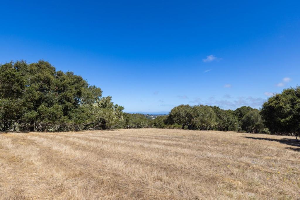 8170 Manjares Property Photo 4