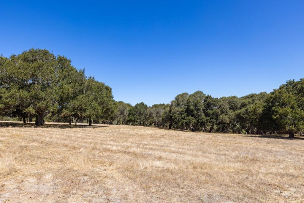 8170 Manjares Property Photo 7