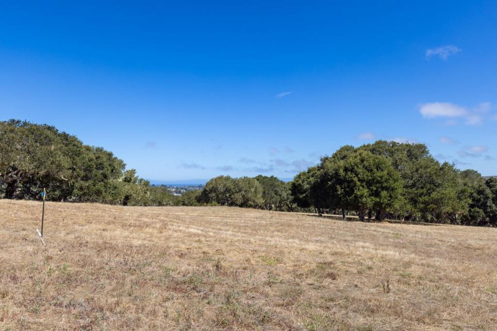 8170 Manjares Property Photo 8